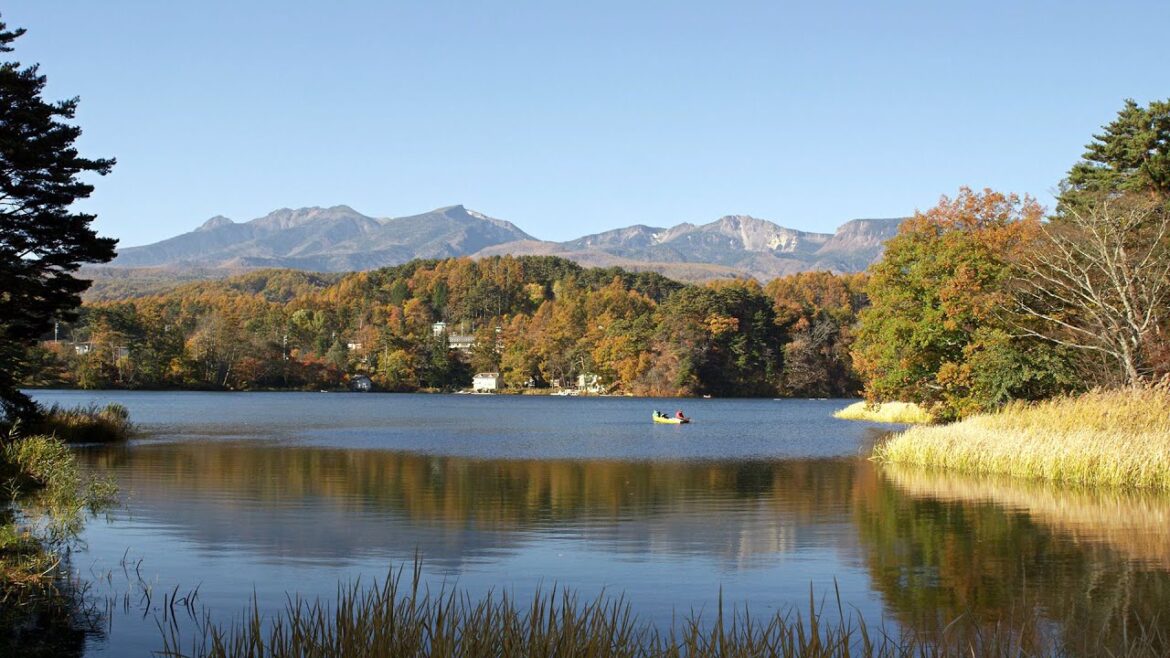 [ 4K Ultra HD ] 北八ヶ岳 松原湖の紅葉 Lake Matsubara in Autumn (Shot on RED EPIC)