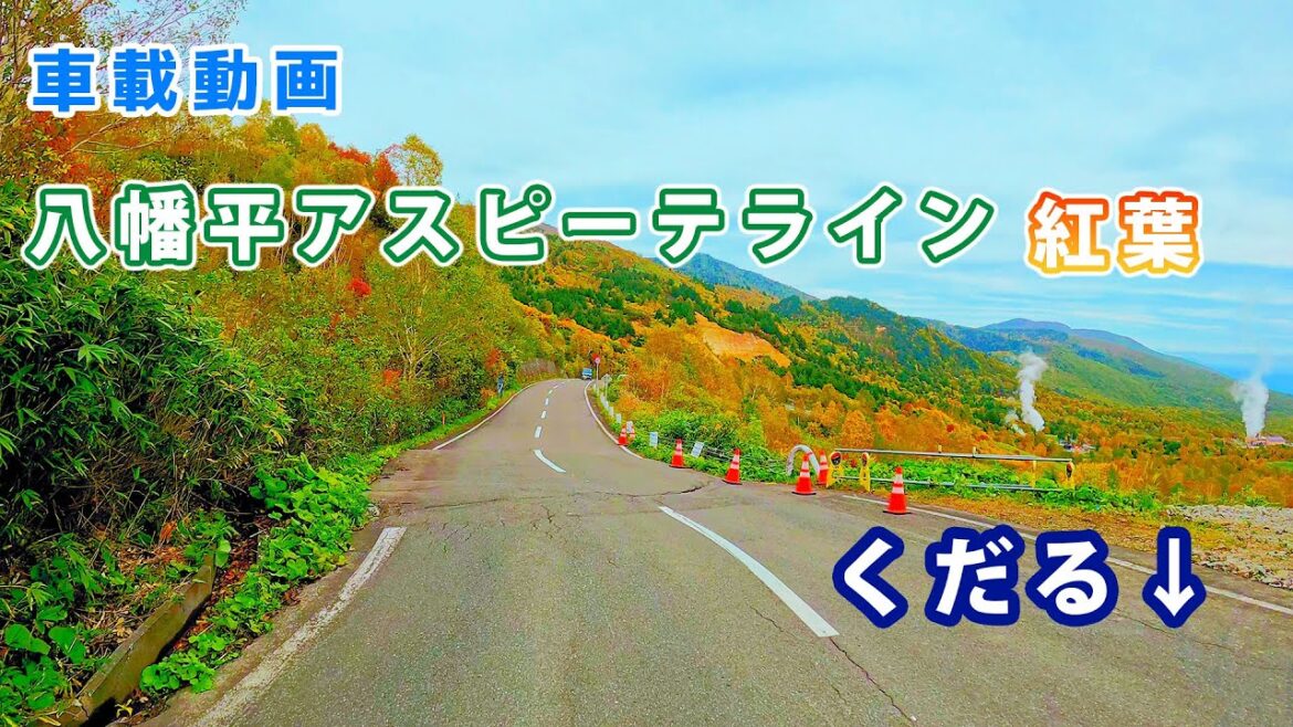 【岩手の紅葉】八幡平アスピーテラインの紅葉（下り）(4K UHD)
