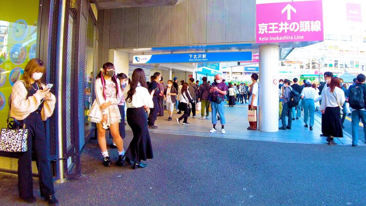 Shimokitazawa in Tokyo is a city of fashion ♪💖🐶4K ASMR non-stop 1 hour 05 minutes