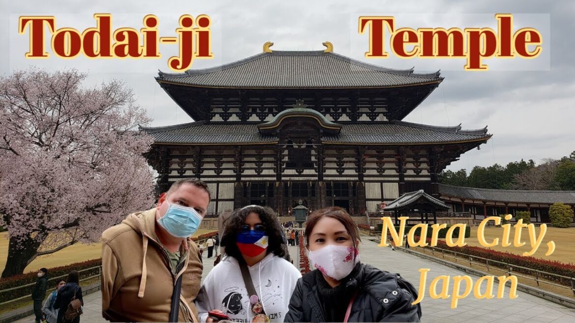 Walk Through Todaiji Temple At Nara City, Japan || The Great Buddha (Daibutsu)