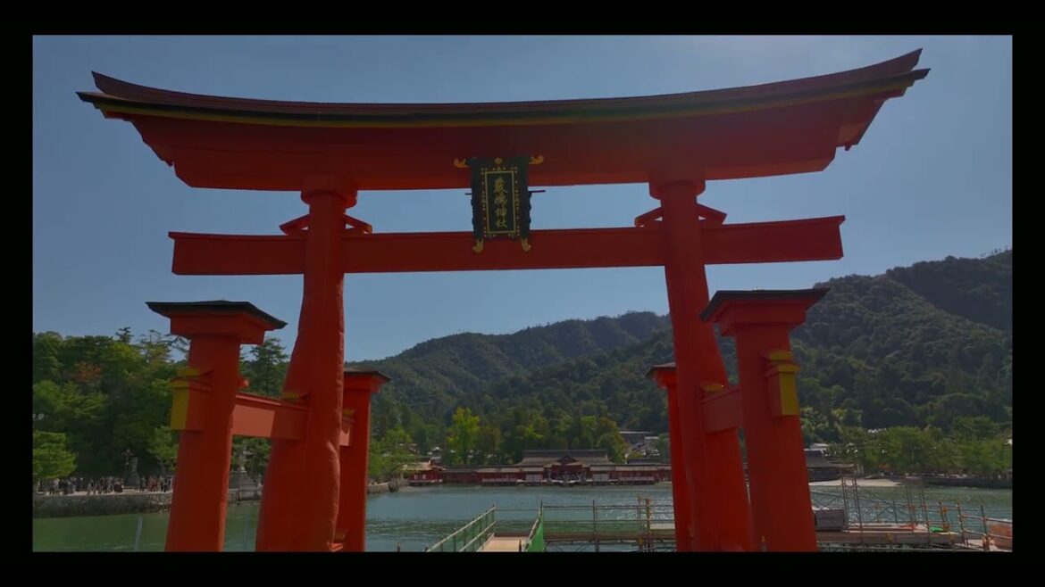 姿を現した国宝、宮島の大鳥居 National Treasure, Miyajima's Oo Torii 姿を現した国宝、宮島の大鳥居 National Treasure, Miyajima's Oo Torii