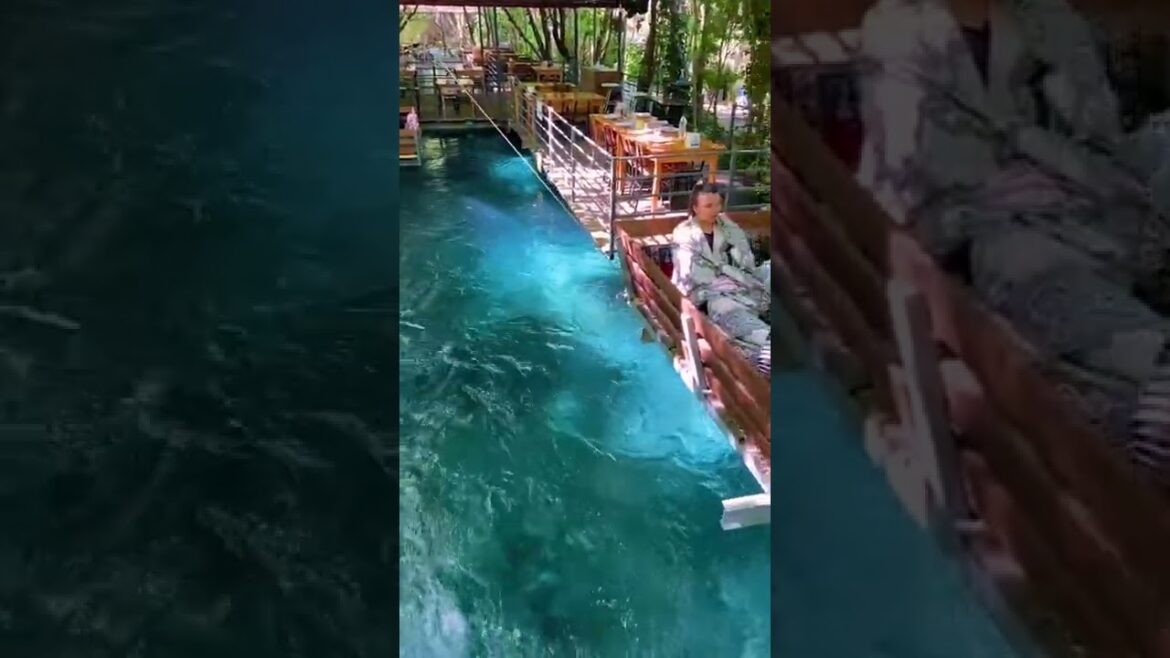 One of the most unique dining destinations in Turkey | beautiful places in the world #Shorts One of the most unique dining destinations in Turkey | beautiful places in the world #Shorts