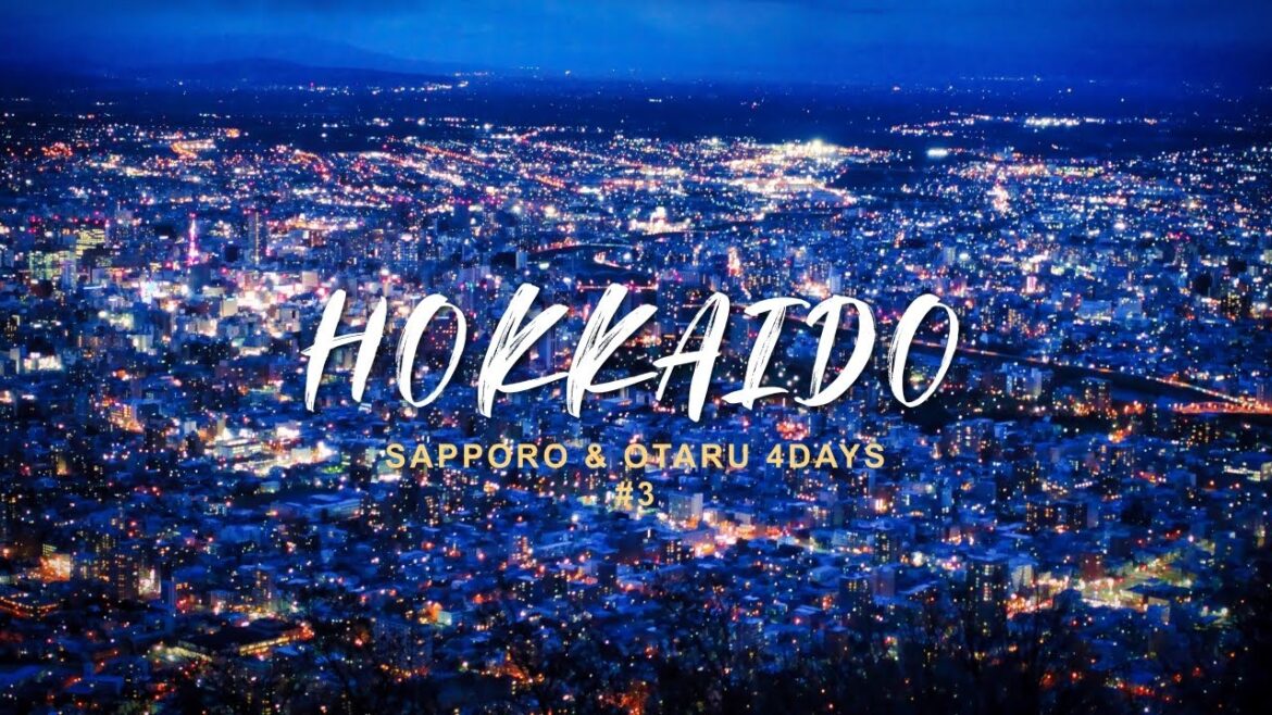 【北海道旅行】札幌観光/真駒内滝野霊園/スープカレー奥芝商店/藻岩山の夜景/回転寿しトリトン/新千歳空港【札幌・小樽3泊4日その3】 【北海道旅行】札幌観光/真駒内滝野霊園/スープカレー奥芝商店/藻岩山の夜景/回転寿しトリトン/新千歳空港【札幌・小樽3泊4日その3】