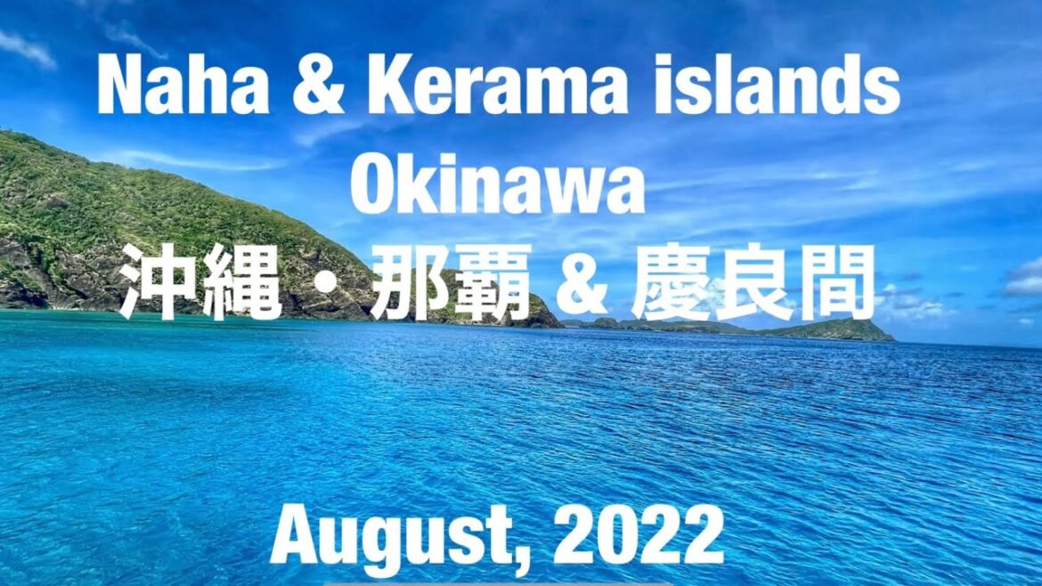 Scuba dived in Kerama islands and had great local dishes in Naha. 慶良間ではスキューバダイビング、那覇では美味しい料理を堪能しました。
