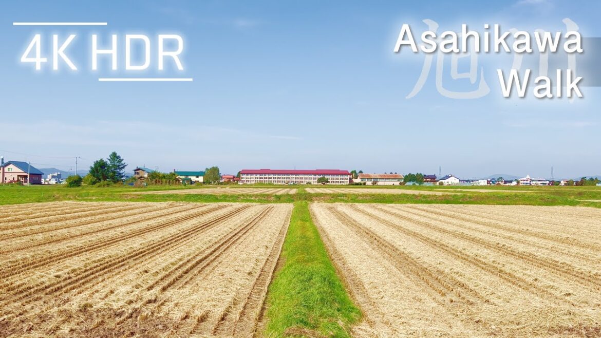 Fields around Ramen Village Walk in Asahikawa, Hokkaido, Japan | 4K HDR