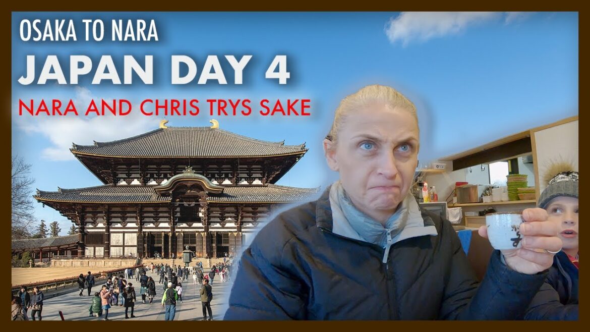 Australian travel Japan Vlog Day 4 – Nara Nandaimon Gate of Tōdaiji Australian travel Japan Vlog Day 4 - Nara Nandaimon Gate of Tōdaiji