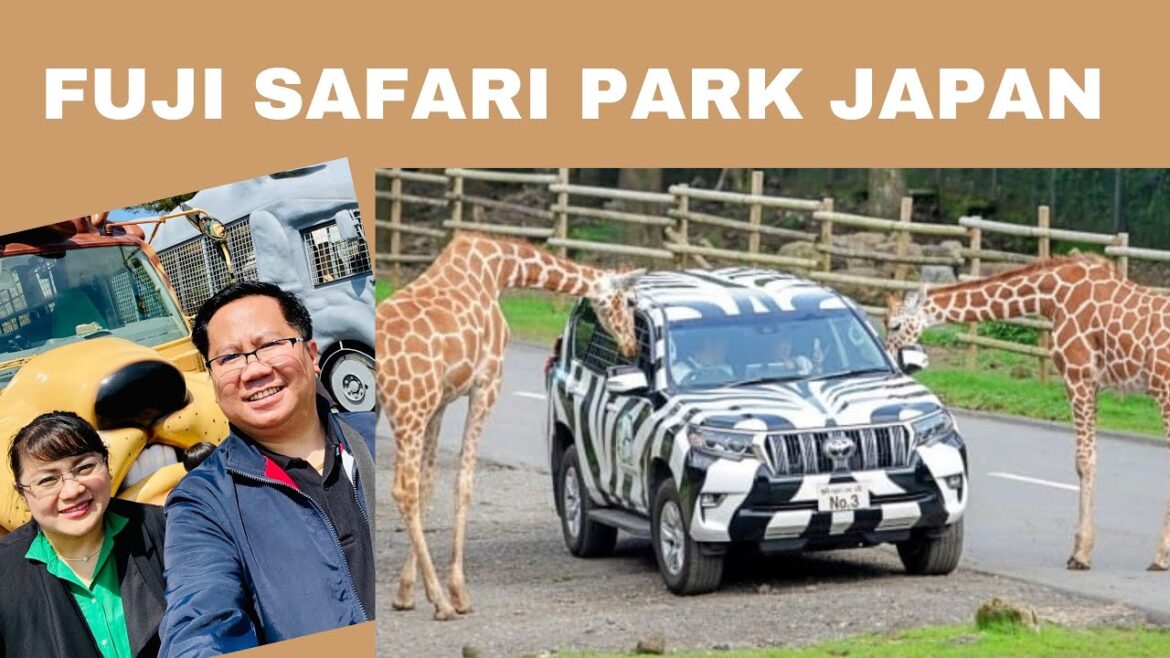 Fuji Safari Park Japan| Japan Trip Fuji Safari Park Japan| Japan Trip