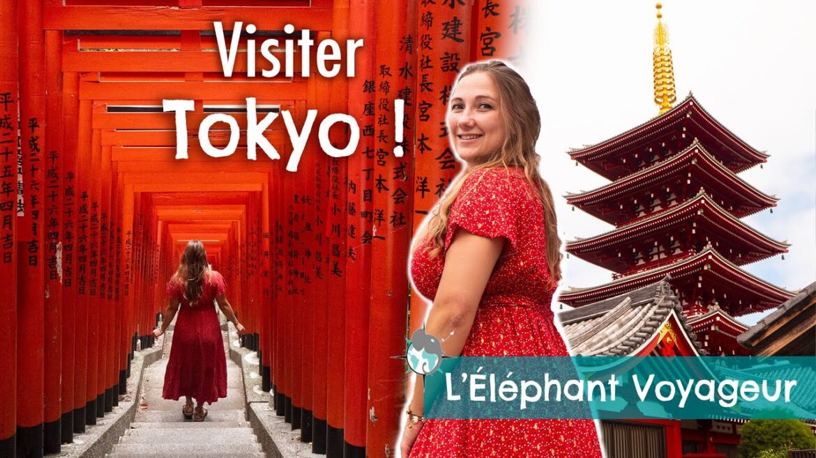 VLOG JAPON - VISITER TOKYO EN 2022 (Que faire, bonnes adresses)