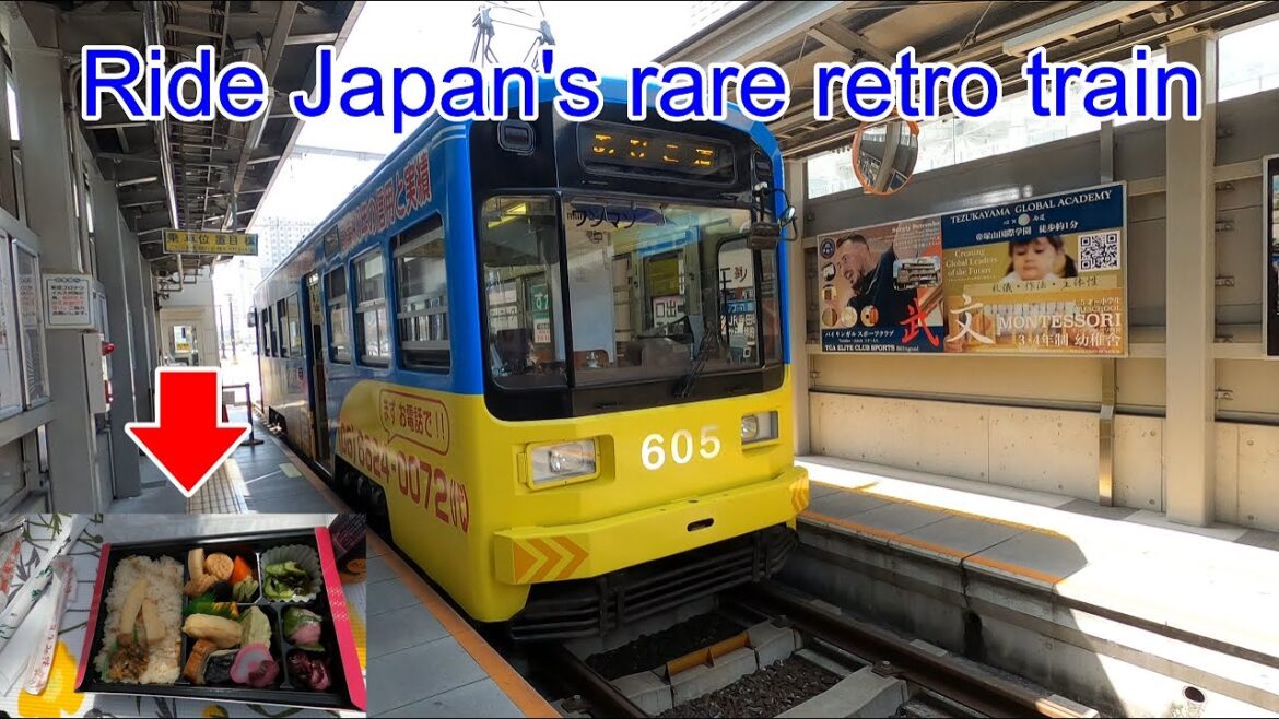 Go cherry blossom viewing on a Japanese retro train