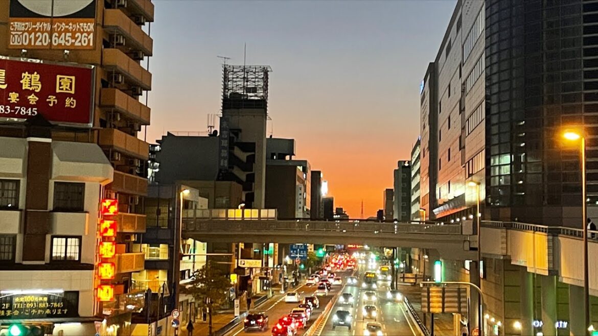 LIVE Camera In JAPAN!!!!