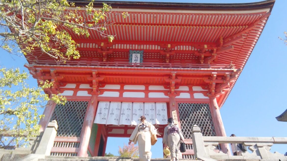 Healing Trip To Autumn Kyoto 京都秋の癒やし旅