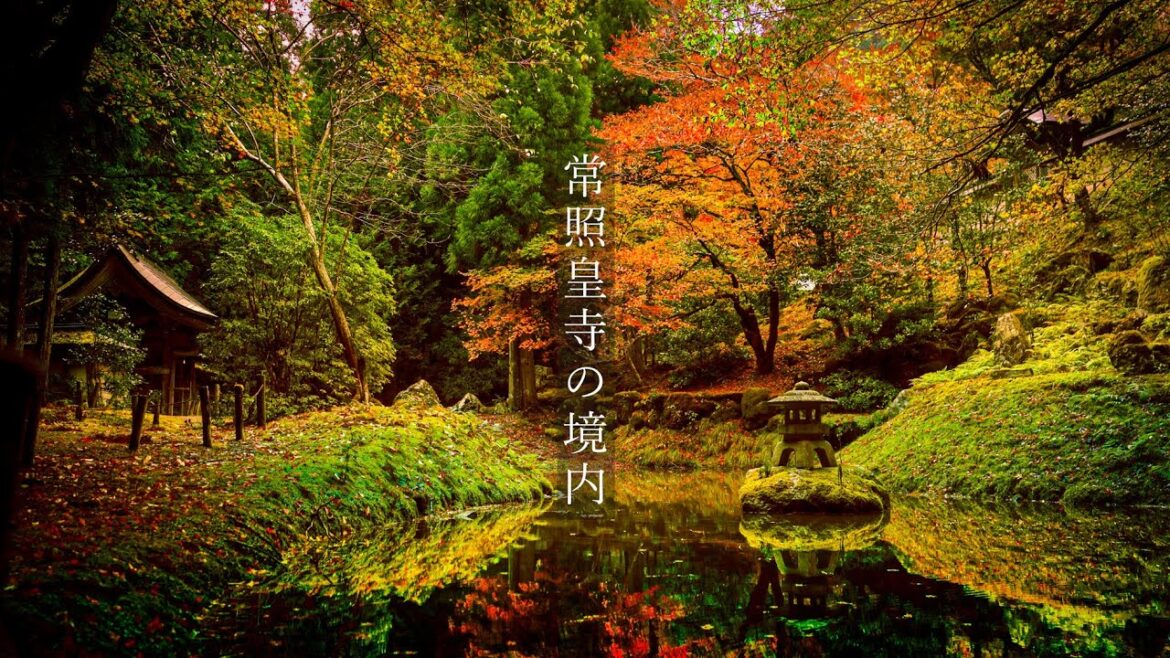 【Trip to Kyoto】常照皇寺の境内|京都 紅葉の穴場 |4K|Joshokoji Templ| 【Trip to Kyoto】常照皇寺の境内|京都 紅葉の穴場 |4K|Joshokoji Templ|