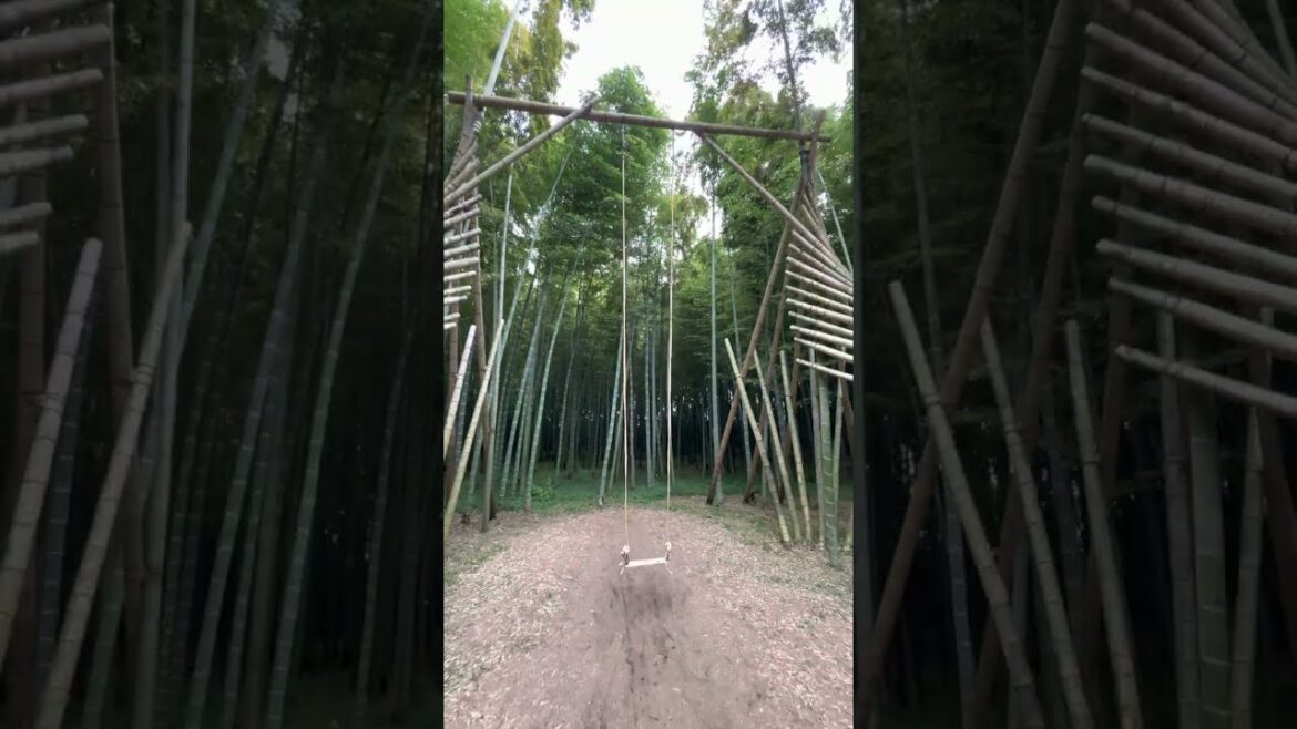 Bamboo Swing ー 若竹の杜 竹のブランコ #Shorts Bamboo Swing ー 若竹の杜 竹のブランコ #Shorts