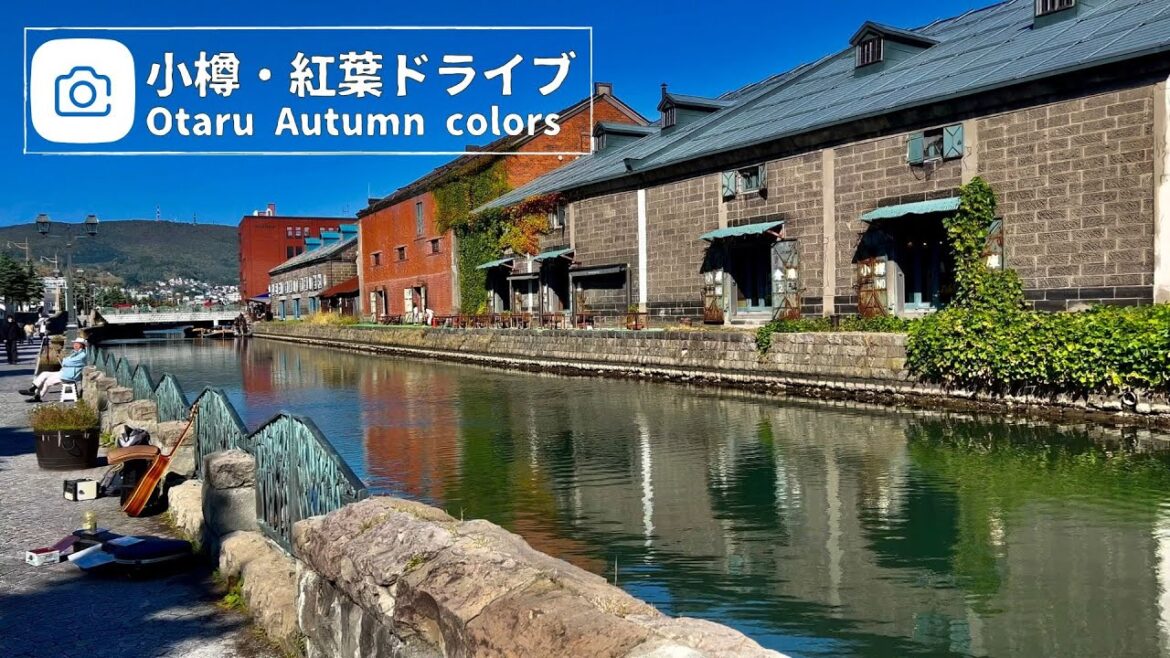 ソロタビ！北海道【小樽】街歩きと紅葉ドライブ｜青の洞窟｜定山渓｜ピーチ札幌便