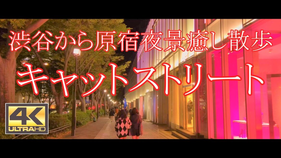 渋谷から原宿キャットストリート散歩 Stroll from Shibuya to Harajuku Cat Street