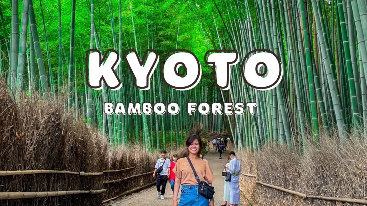 Must see activities around Kyoto Arashiyama Bamboo Forest+Temple and Train Tour+fav hotel at Kyoto Must see activities around Kyoto Arashiyama Bamboo Forest+Temple and Train Tour+fav hotel at Kyoto