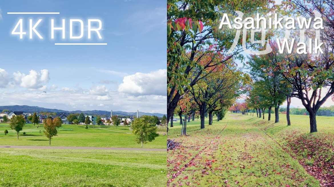 Autumn Serene Park Walk in Asahikawa, Hokkaido, Japan | 4K HDR Autumn Serene Park Walk in Asahikawa, Hokkaido, Japan | 4K HDR