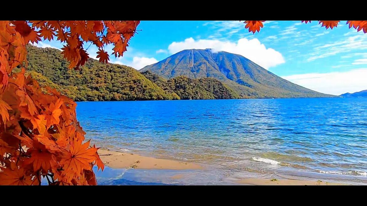 奥日光の美しい紅葉はハイキングを楽しもう！ ~西の湖 ⇒ 千手ヶ浜 ⇒ 小田代ヶ原~ 2022年10月15日 Nikko Autumn : 日光国立公園 (栃木県日光市中宮祠) : HD