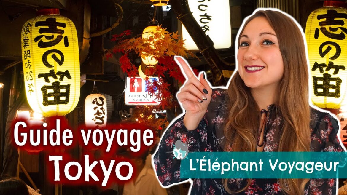 GUIDE VOYAGE TOKYO - PARTIE 1 : Infos pratiques et déplacements