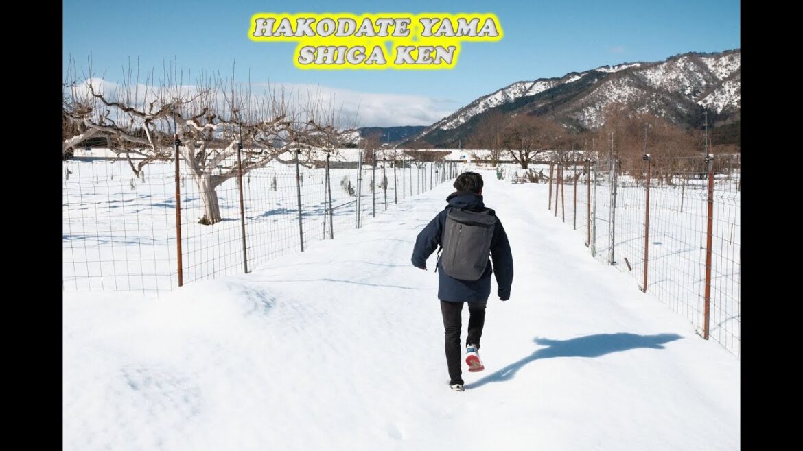 Chuyến đi Hakodate Yama và cũng là lần đầu tiên mình đi trượt tuyết #vlog #japan