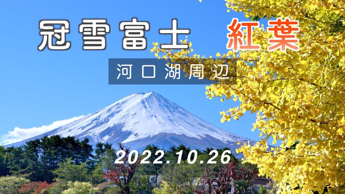 2022.10.26 雪化粧の富士山と紅葉 （河口湖周辺） [4K] #MtFuji #SnowCover #Kawaguchiko #Autumn_Leaves