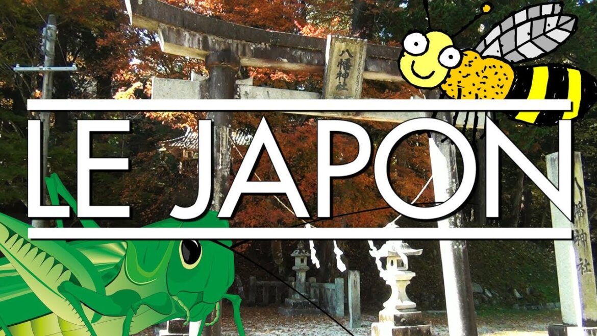 Le Japon : une cuisine aux guêpes et aux criquets - LCM #1