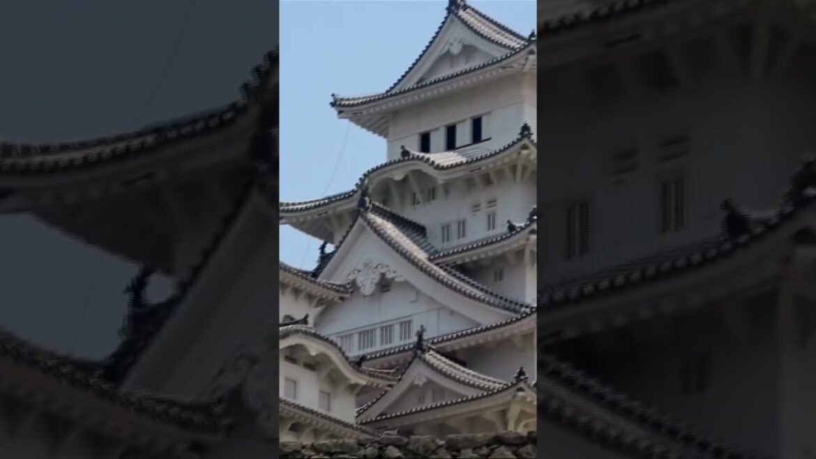 Most Beautiful Castle in Japan! #shorts #hijemi