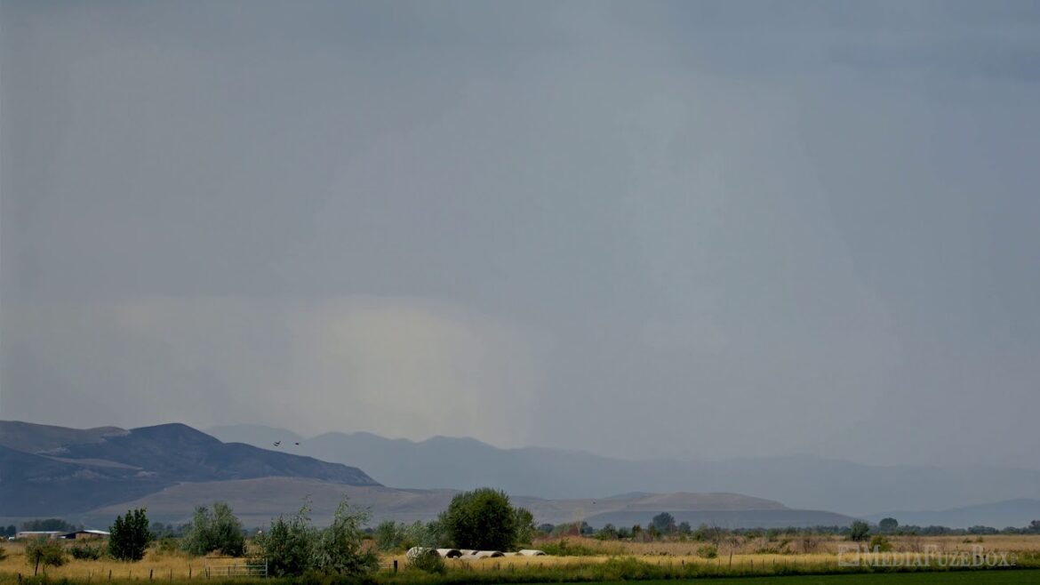 Lightning bolt flashing in the sky contacting the ground as it flashes | Stock Video Lightning bolt flashing in the sky contacting the ground as it flashes | Stock Video