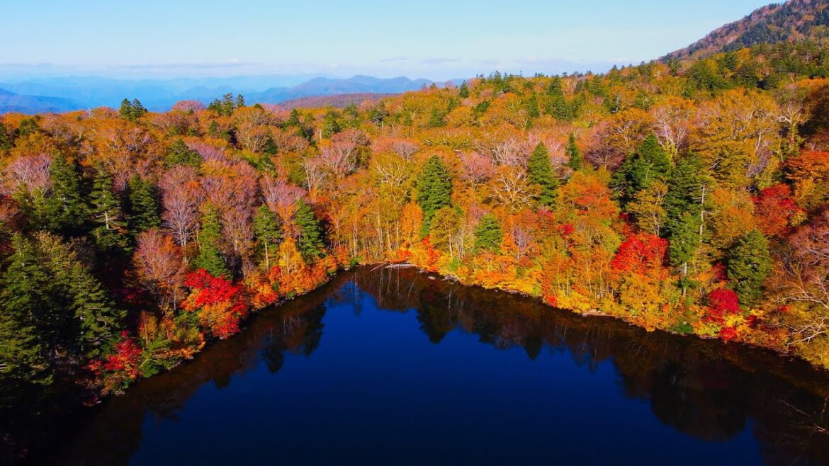 8K HDR 秋田 八幡平 秘かに佇む長沼の紅葉絶景 Akita,Hachimantai Naganuma in Autumn; Rarely Visited Quiet Pond