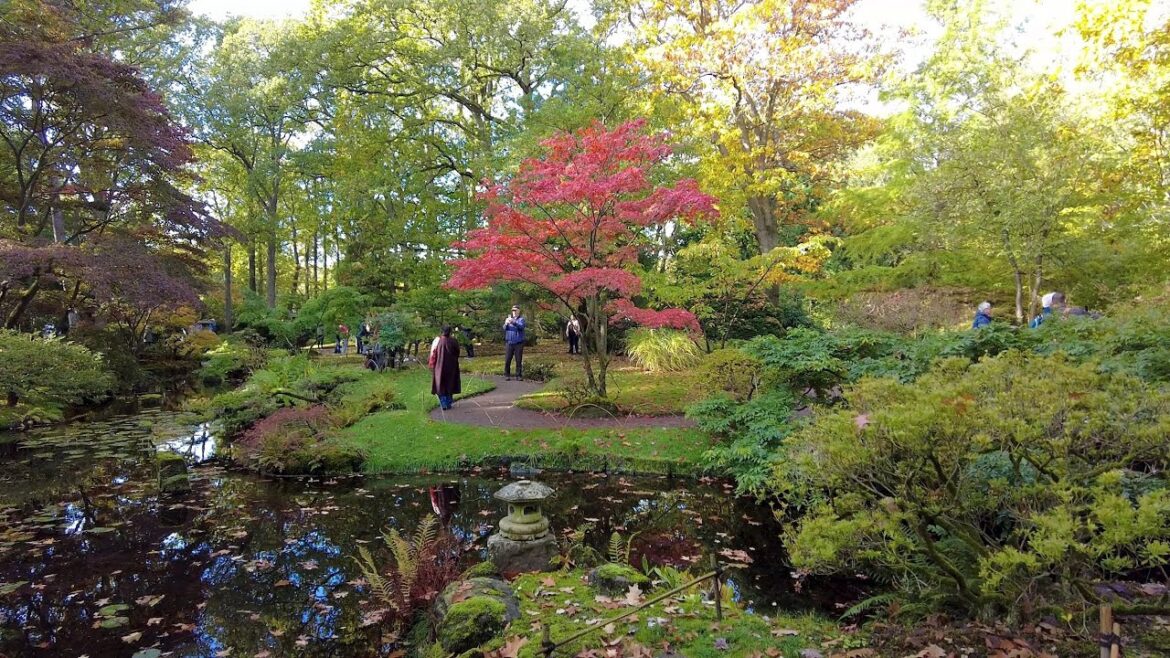 Autumn Walk in the Hague | Clingendael Park π Japanese Garden | The Netherlands 2022 | 4K60 Autumn Walk in the Hague | Clingendael Park π Japanese Garden | The Netherlands 2022 | 4K60