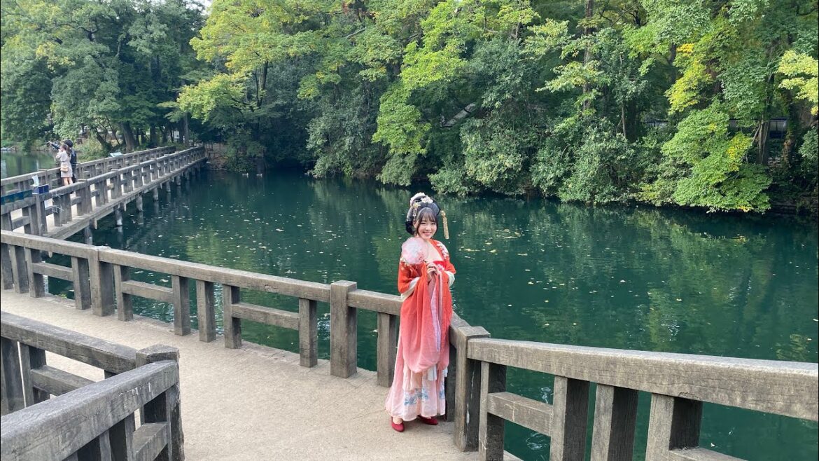 Inokashira Park🇯🇵Walking in Japan