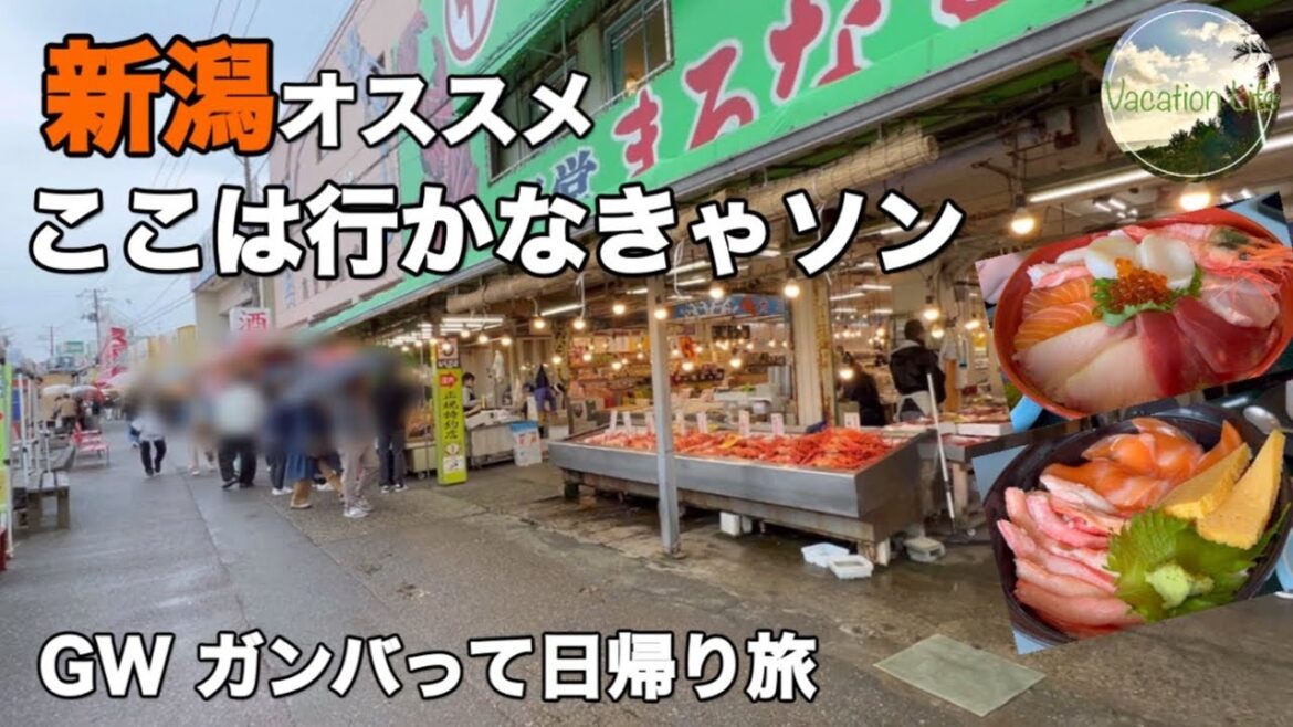 [キャンピングカー日帰り旅]美味しい海鮮を求めて寺泊に行ったらお手頃価格で美味しい物ばかりで最高だった！