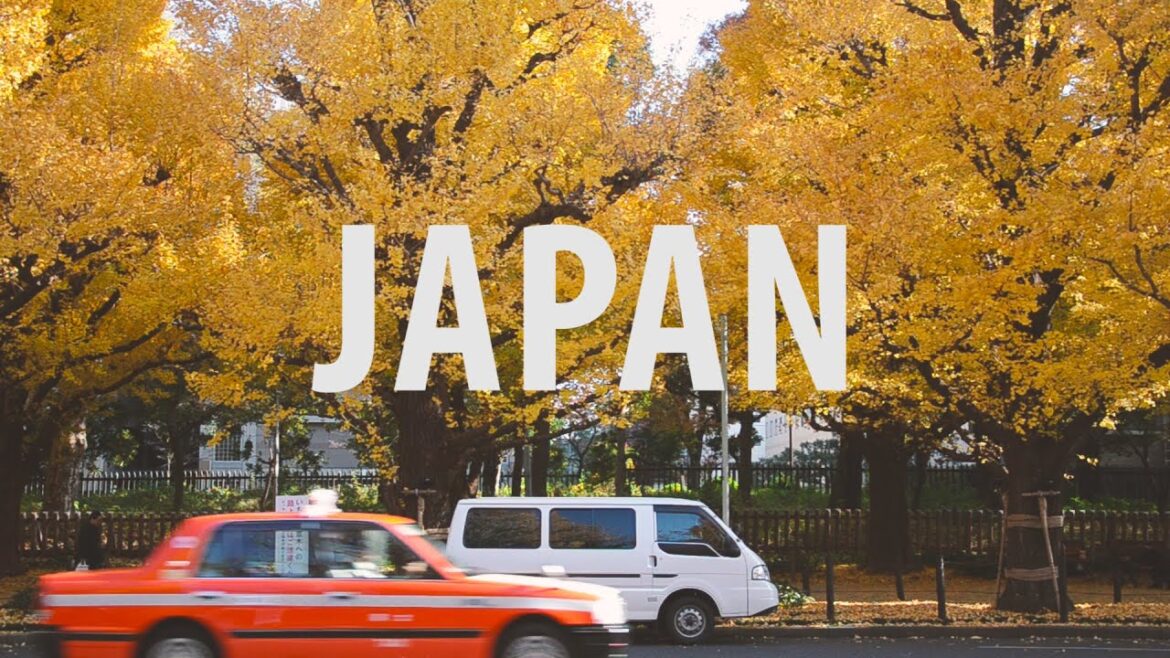 Peaceful life of one year in Japan | 日本四季