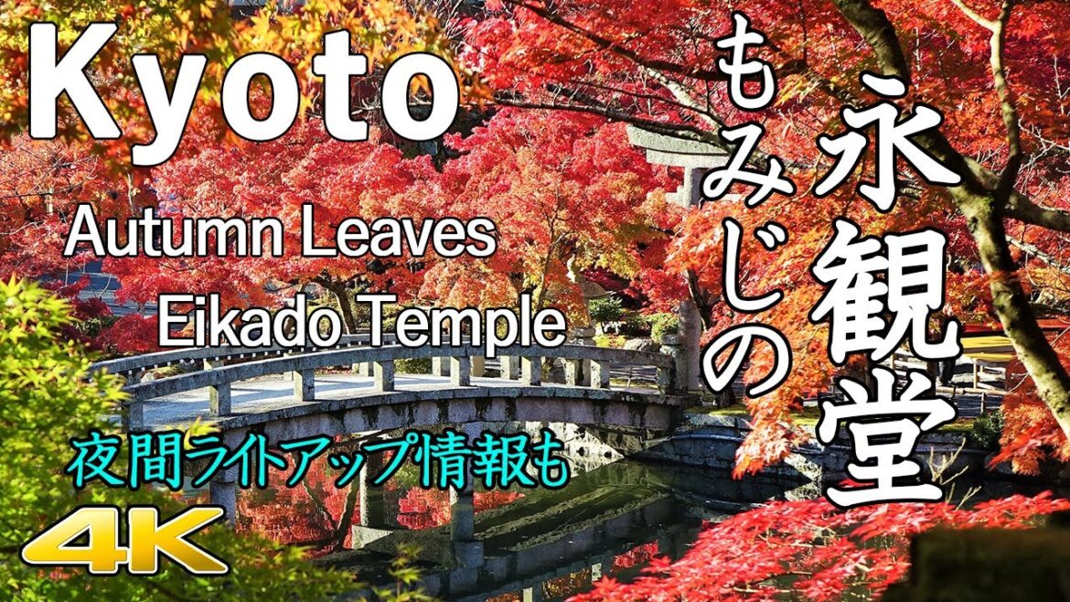 京都  永観堂の紅葉　　Eikando Temple Maple Leaves in Kyoto