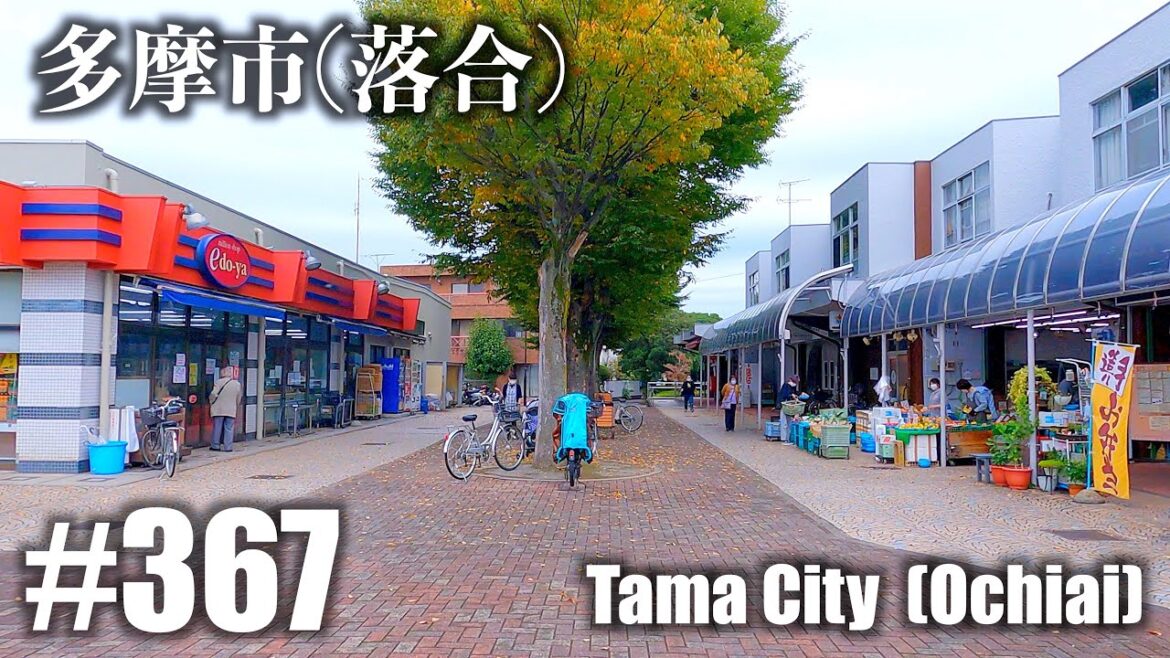 No.367【4K】多摩市落合を散歩しました