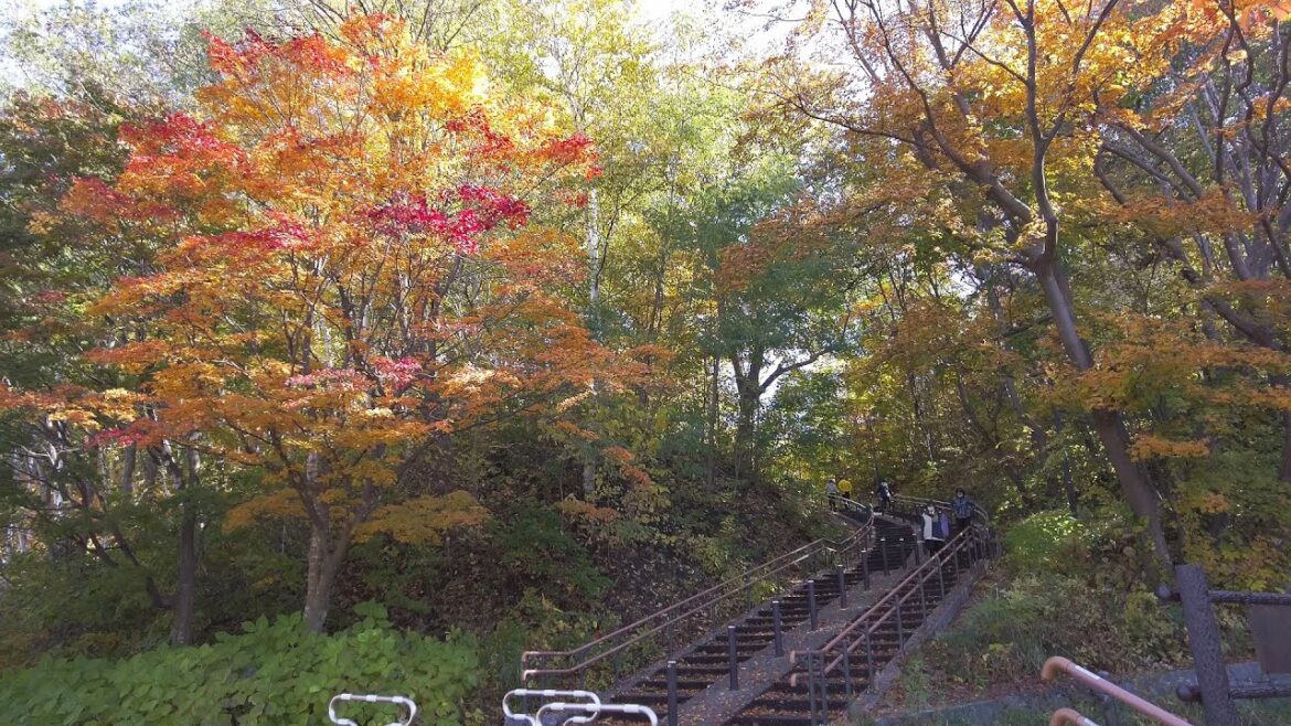 【4K】2022 日本 北海道 札幌 豊平区 月寒公園 紅葉 散策【Binaural Audio】 【4K】2022 日本 北海道 札幌 豊平区 月寒公園 紅葉 散策【Binaural Audio】
