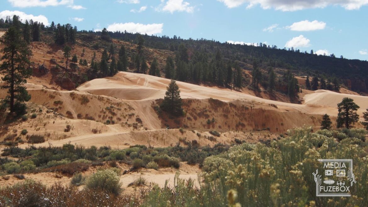 Static view of desert landscape at sand dunes