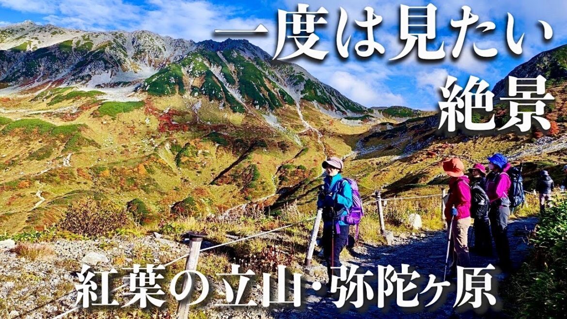 【紅葉の立山・弥陀ヶ原】一度は見たい日本の絶景、立山黒部アルペンルート