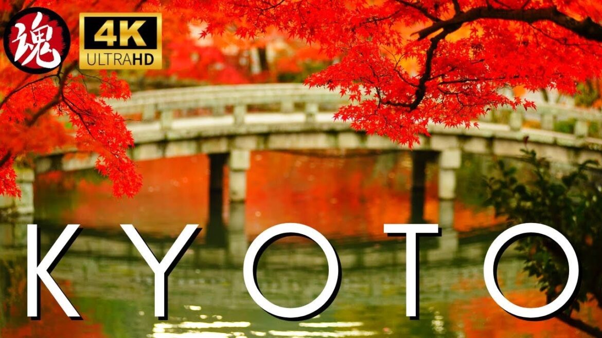 Incredible Autumn Leaves Japan | Arashiyama Kyoto