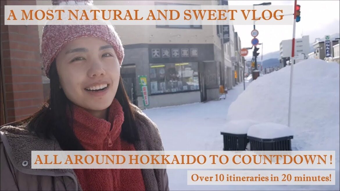 Singapore to Hokkaido In December | All around Sapporo, Otaru, Hakodate, Tokyo – Japan Travel VLOG Singapore to Hokkaido In December | All around Sapporo, Otaru, Hakodate, Tokyo - Japan Travel VLOG