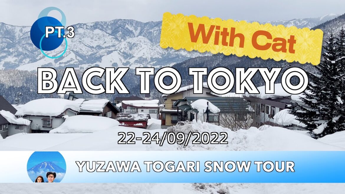 Back to Tokyo : Nozawa Togari Snow Tour Pt.3 Back to Tokyo : Nozawa Togari Snow Tour Pt.3
