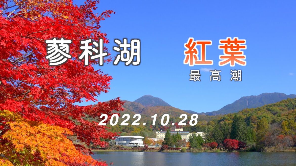 2022.10.28 紅葉が最高潮！ 信州『蓼科湖』 [4K] #AutumnLeaves #LakeTateshina
