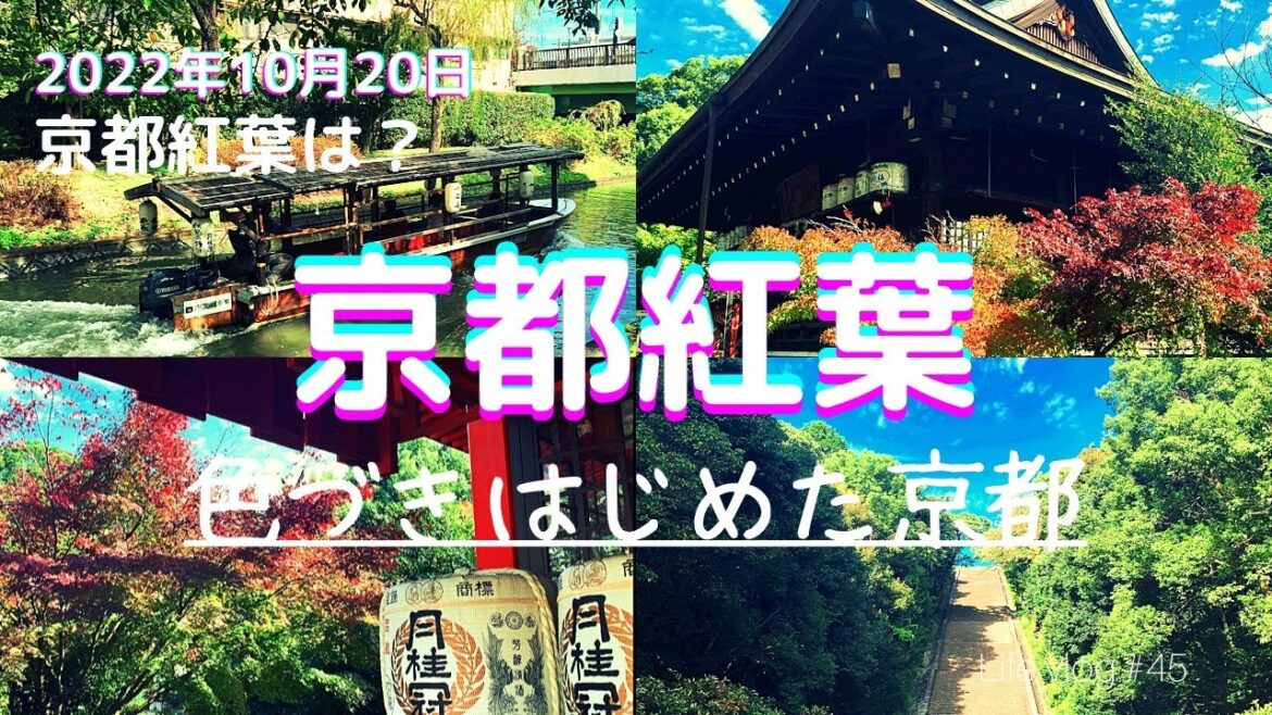 『京都紅葉散策』誰にも知られたくない京都の名所伏見散策!Kyoto trip 『京都紅葉散策』誰にも知られたくない京都の名所伏見散策!Kyoto trip