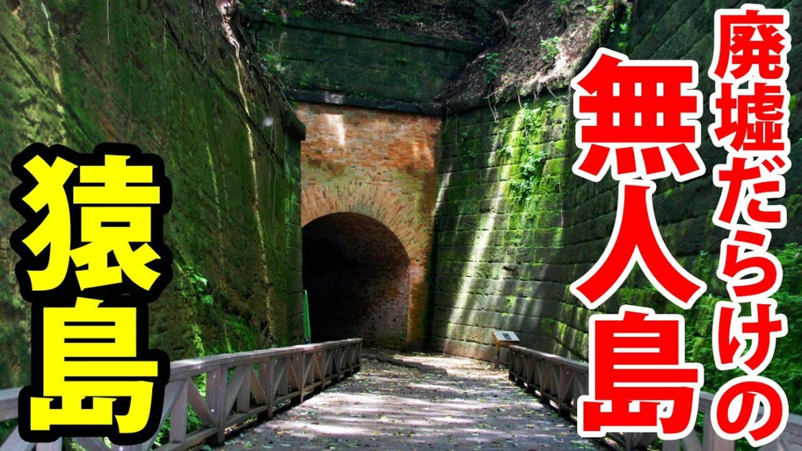 日本軍が放棄した島「猿島」を訪問 横須賀1泊2日旅行 日本軍が放棄した島「猿島」を訪問 横須賀1泊2日旅行