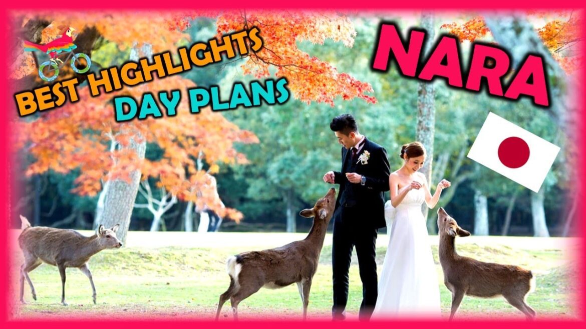 NARA Japan Travel Guide. Free Self-Guided Tours (Highlights, Attractions, Events)