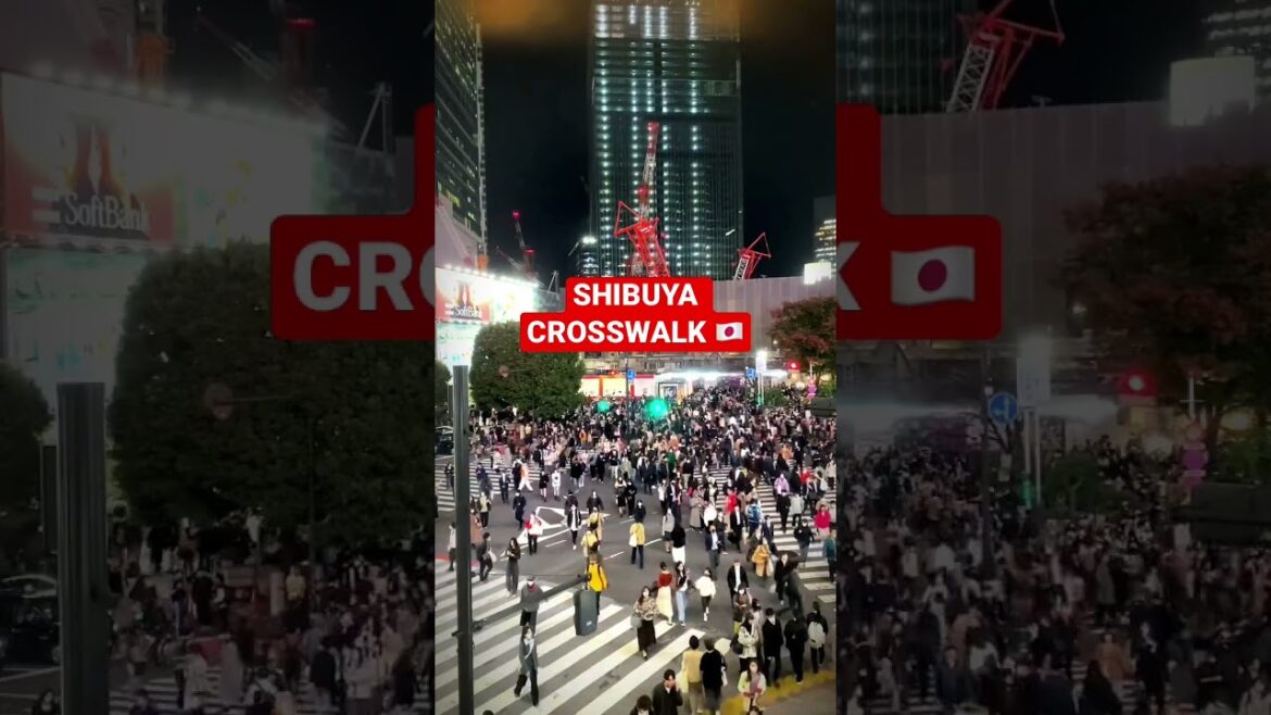 #shibuya #tokyodrift #shorts #tokyo #1ancu1ghiozdan #travel