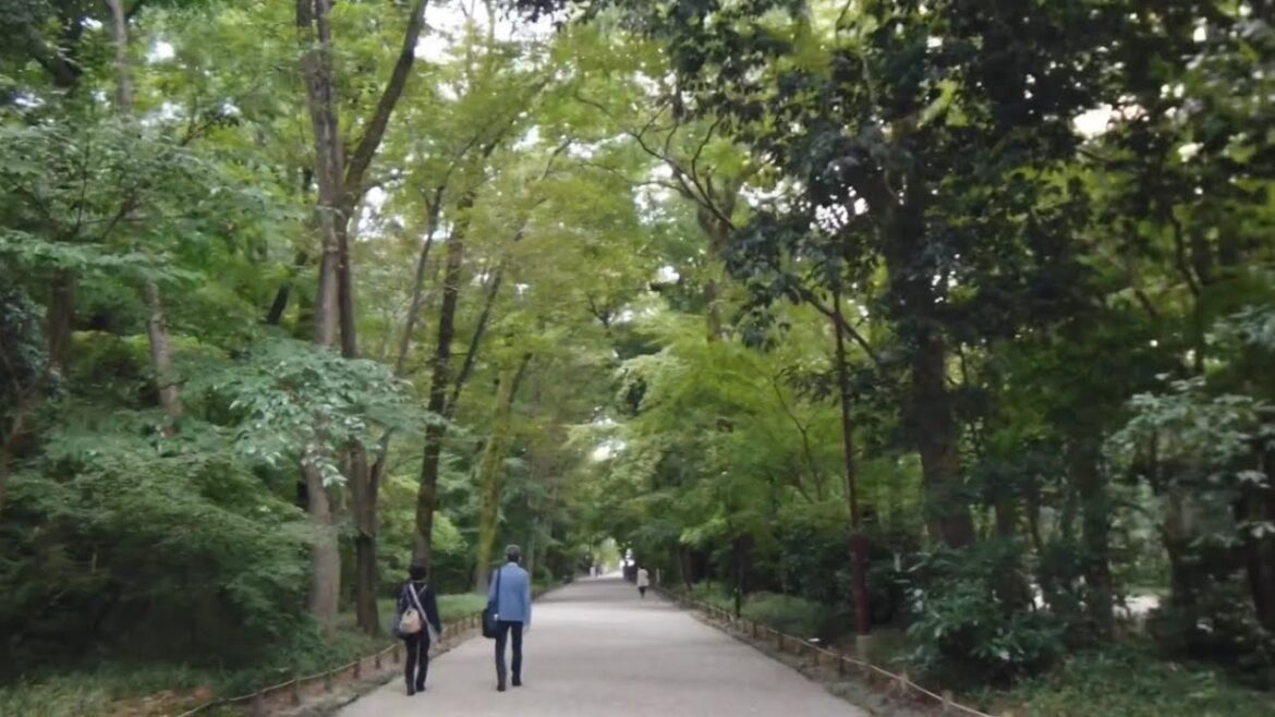 22年10月12日 樹々のトンネルと京都を歩く 下鴨神社,糺の森,鴨川デルタ,賀茂大橋 Walk around Kyoto city,Japan vlog 22年10月12日 樹々のトンネルと京都を歩く 下鴨神社,糺の森,鴨川デルタ,賀茂大橋 Walk around Kyoto city,Japan vlog