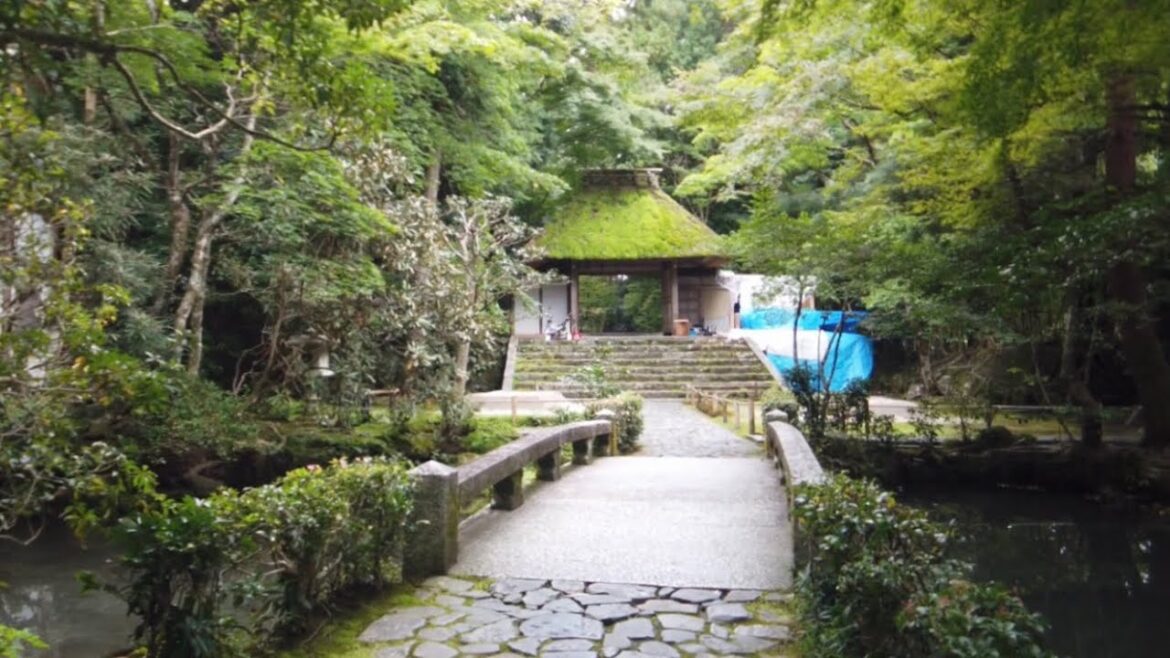 22年10月12日 秋の小径と京都を歩く 法然院,琵琶湖疏水,哲学の道,銀閣寺 Walk around Kyoto city,Japan vlog