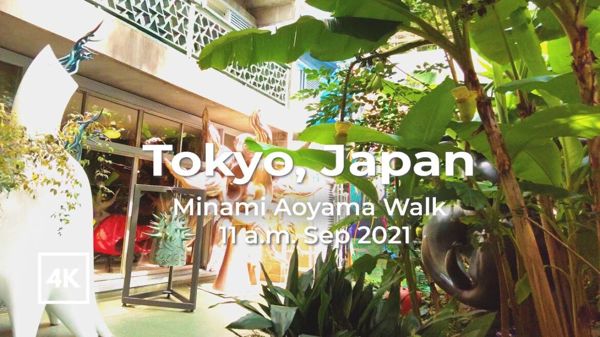 [4K] Tokyo Walk tour | Minami Aoyama (Omotesando)| Upmarket area for café, shopping, culture, museum