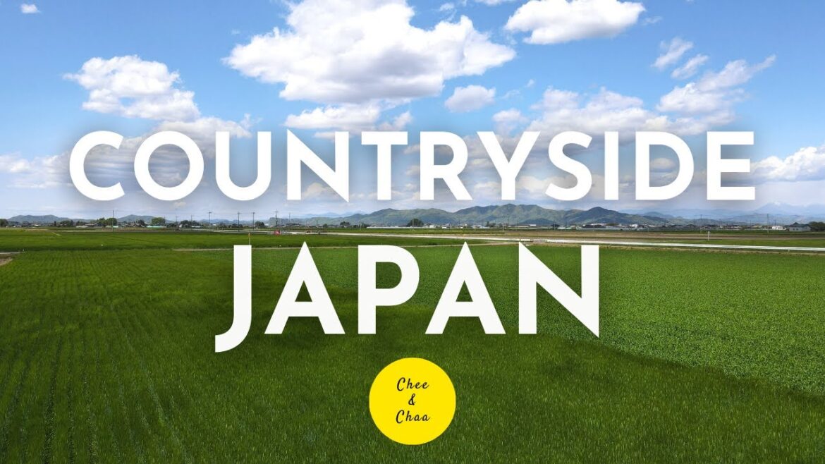 Countryside Japan | Paddy field in Japan | Chee & Chaa
